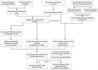 The Therapeutic Targets of Fingolimod (FTY720) Are Involved in Pathological Processes in the Frontal Cortex of Alzheimer's Disease Patients: A Network Pharmacology Study